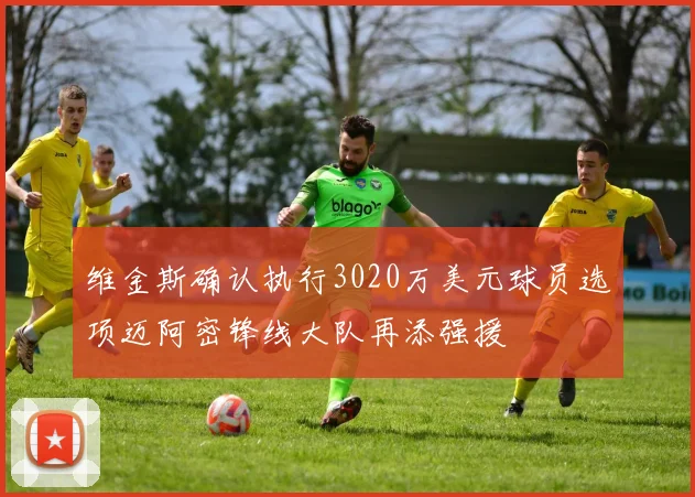 维金斯确认执行3020万美元球员选项迈阿密锋线大队再添强援