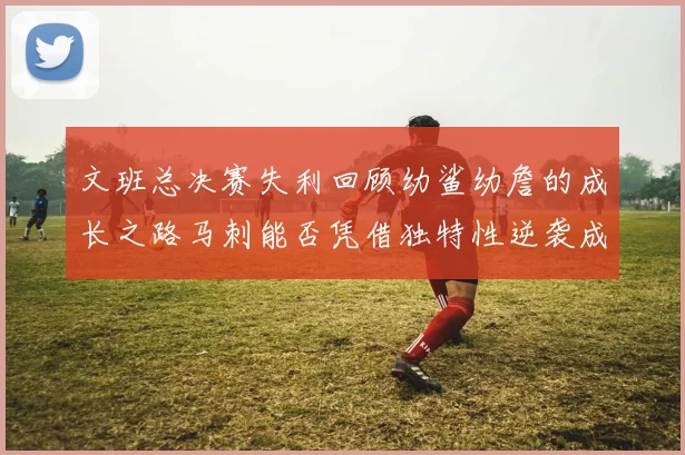 文班总决赛失利回顾幼鲨幼詹的成长之路马刺能否凭借独特性逆袭成功